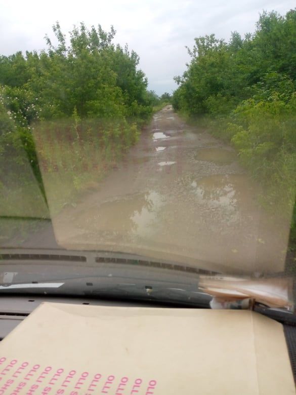 У мережі показали &quot;вбиту&quot; українську дорогу, якою возять до школи дітей: зарості в джунглях