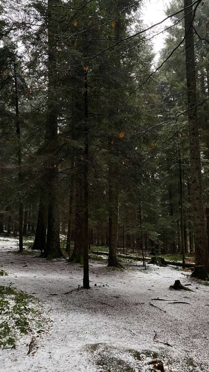 На популярному курорті рідкісне природне явище створило казковий пейзаж (фото і відео)