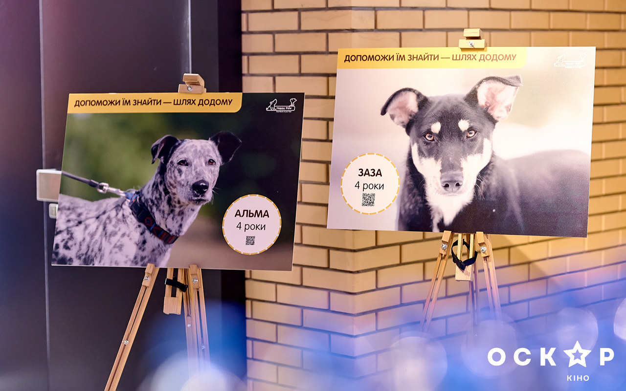 Логунова і Кривошапко відвідали благодійну прем'єру фільму &quot;Шлях додому&quot;