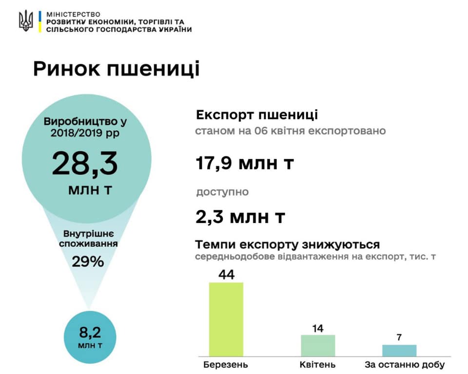 Україна суттєво скоротила експорт пшениці