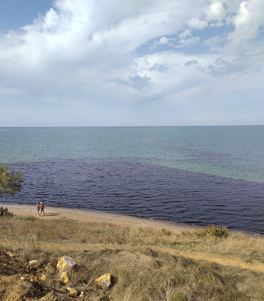 Россияне превращают Крым в помойку: новые фото морского "пейзажа"