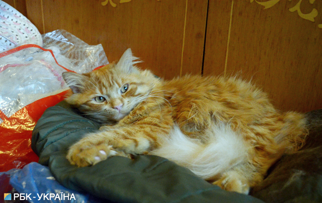 Между войной и миром: как прифронтовой Донбасс готовится к зиме