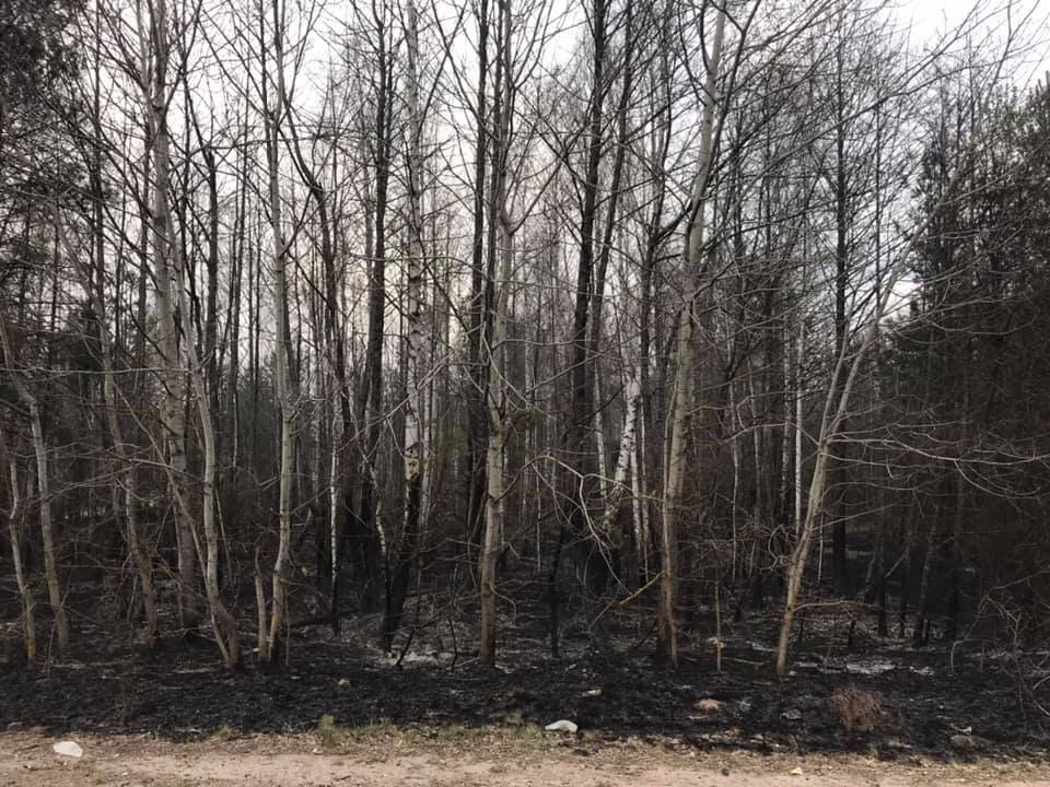 Под Житомиром показали выжженные села после пожара: фото и видео
