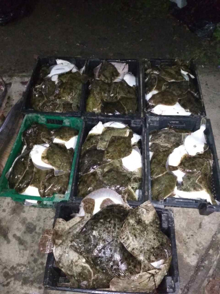 Правоохранители пресекли деятельность по незаконному вылову биоресурсов на 20 млн гривен