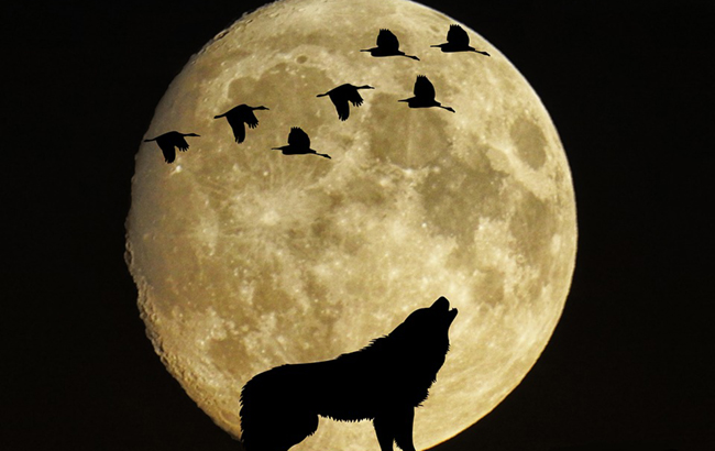 Унікальне астрономічне явище: Вовчий Місяць у січні 2020