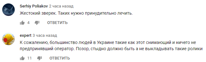 Втрутилися: у Миколаєві авто збило молодика, який бив людину на дорозі (відео)