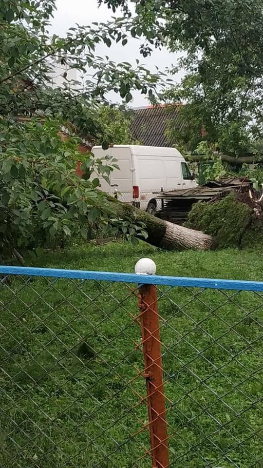 Повалені дерева і затоплені вулиці: під Рівним розбушувалася негода