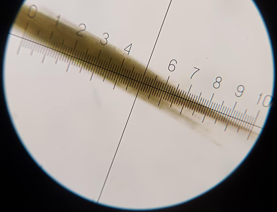 На популярному українському курорті після дощів "зацвіло" море: екологи б'ють на сполох (фото)