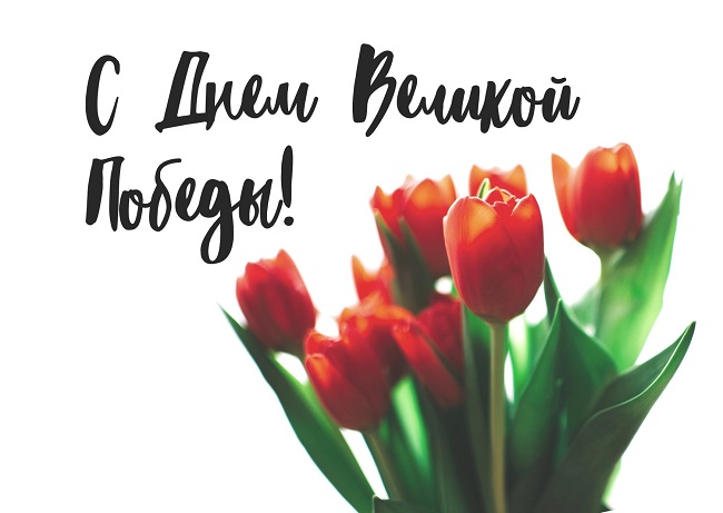 День победы над нацизмом 9 мая: яркие поздравления в открытках и стихах с большим праздником