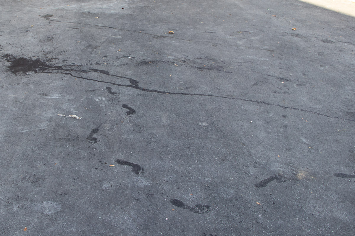 Влаштувала погром авто: у Дніпрі жорстоко побили дівчину в нижній білизні (відео)