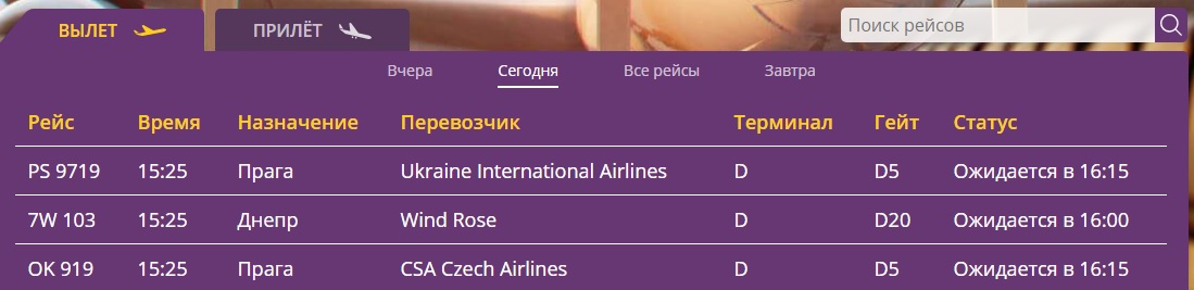 Украинские аэропорты отменяют рейсы из-за непогоды