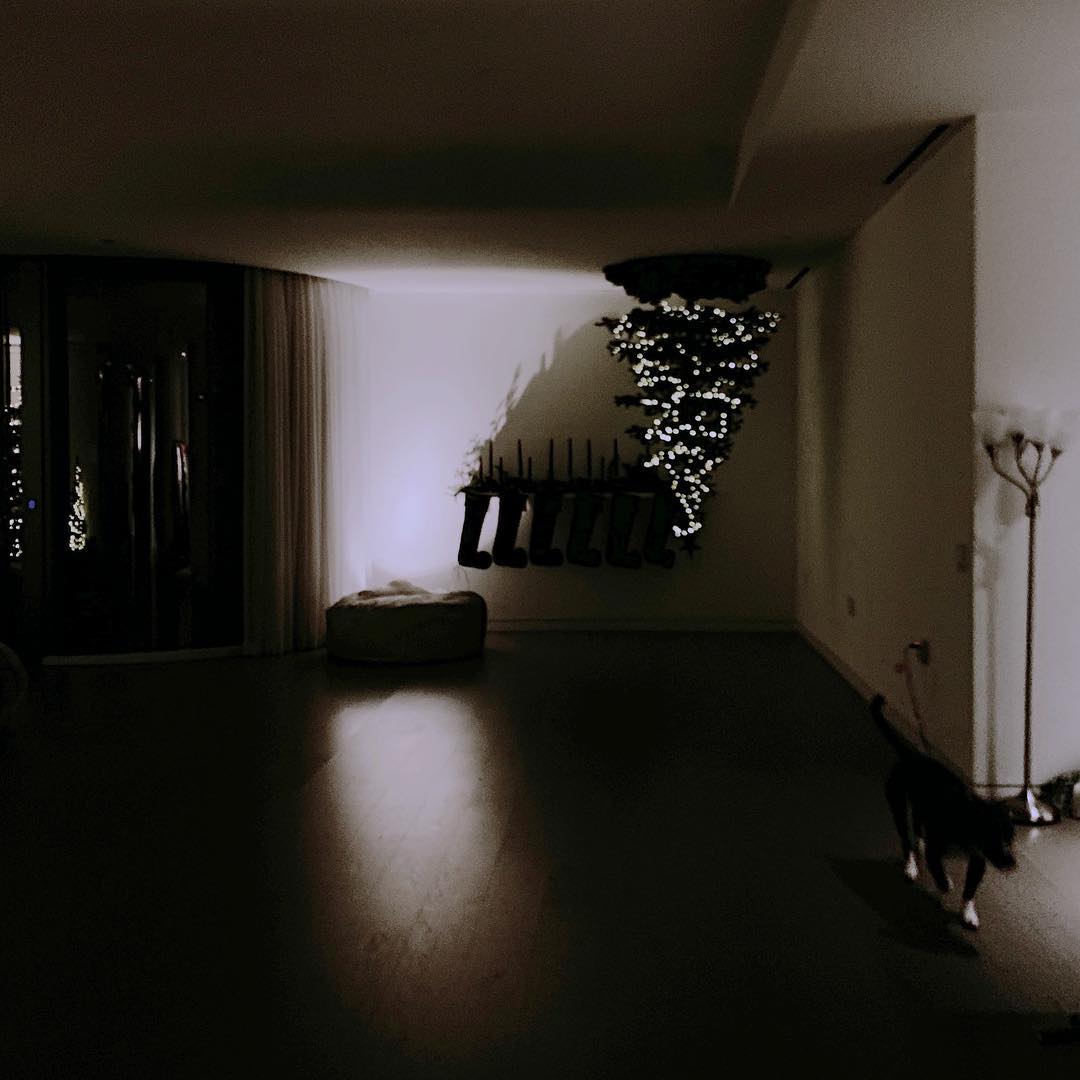 Если нет места - ставим на потолок: знаменитости показали новогодние елки