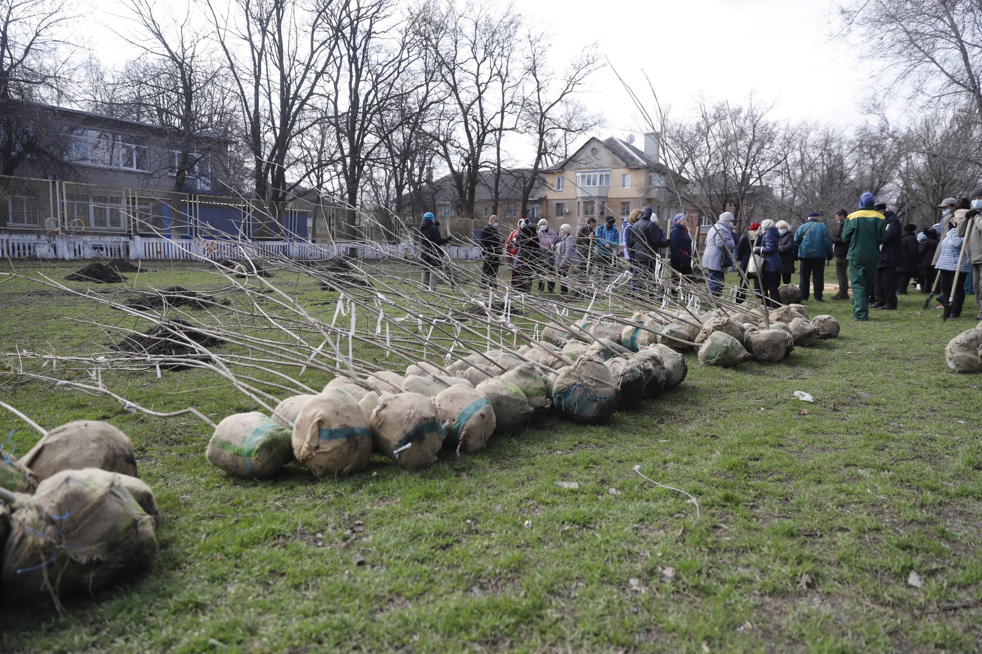 Філатов: озеленення Дніпра - системна робота, до якої долучається не лише мерія