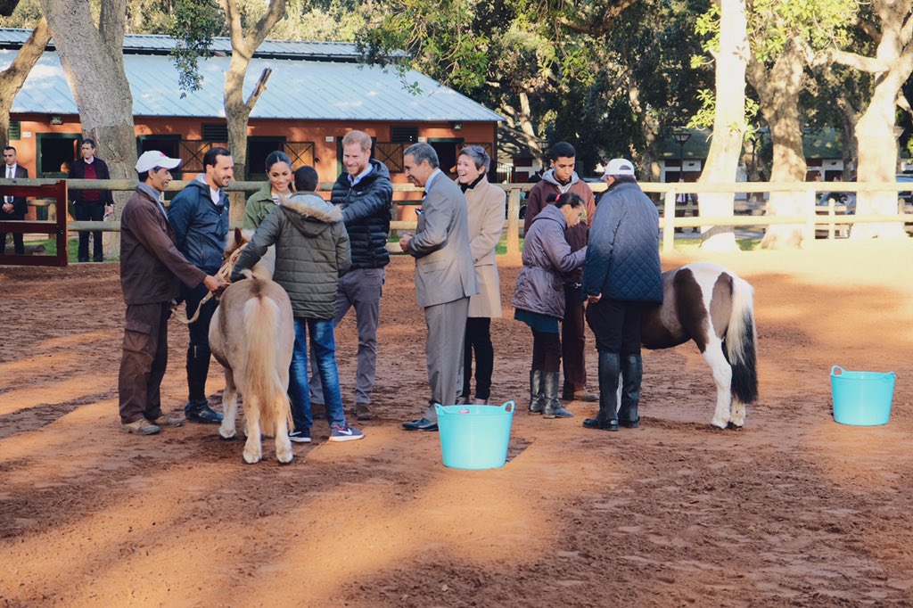Счастливые Меган Маркл и принц Гарри посетили конный клуб в Марокко (видео)