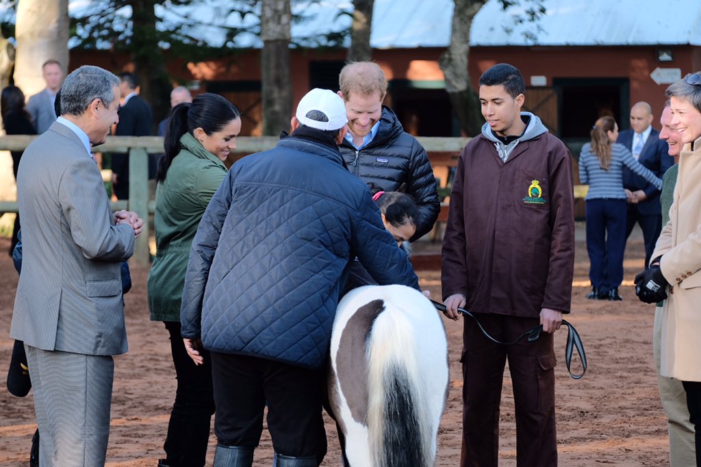 Счастливые Меган Маркл и принц Гарри посетили конный клуб в Марокко (видео)