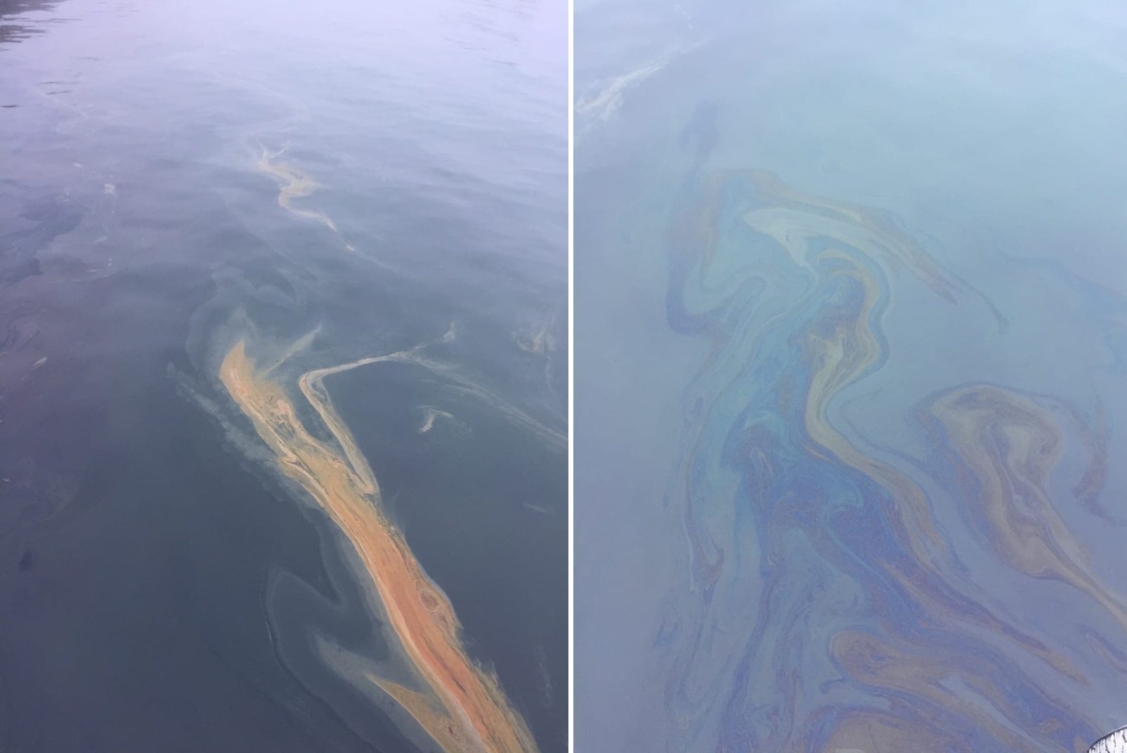 На воде странные пятна: в Черном море назревает экологическая катастрофа