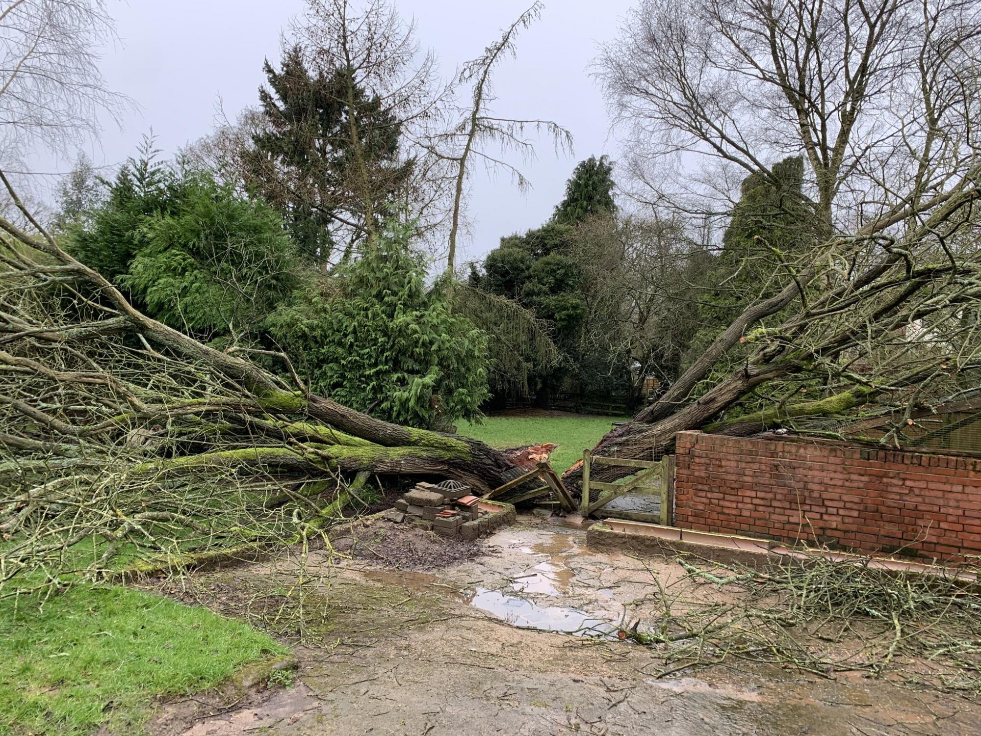 В Британии разбушевался смертоносный ураган "Деннис": фото и видео стихии