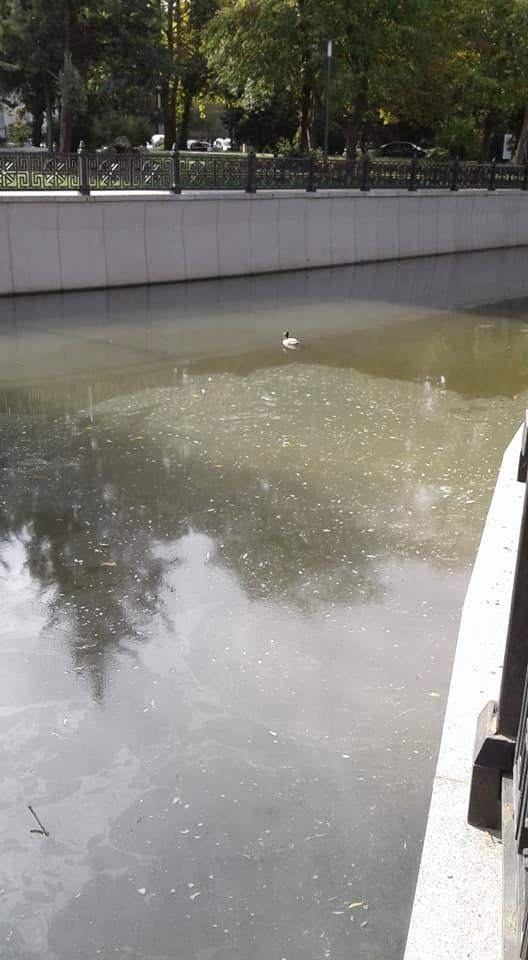 Крим перетворюється на смітник: в мережі показали &quot;чисті&quot; води річок