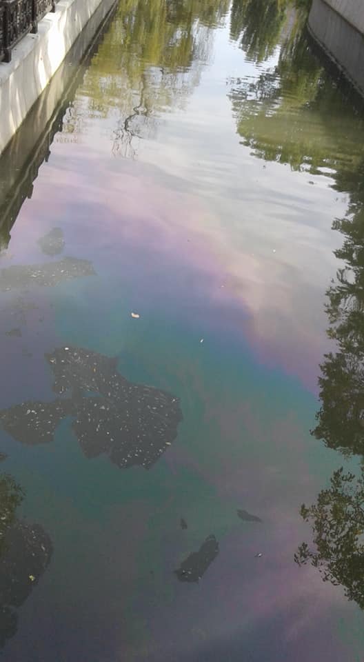 Крим перетворюється на смітник: в мережі показали &quot;чисті&quot; води річок