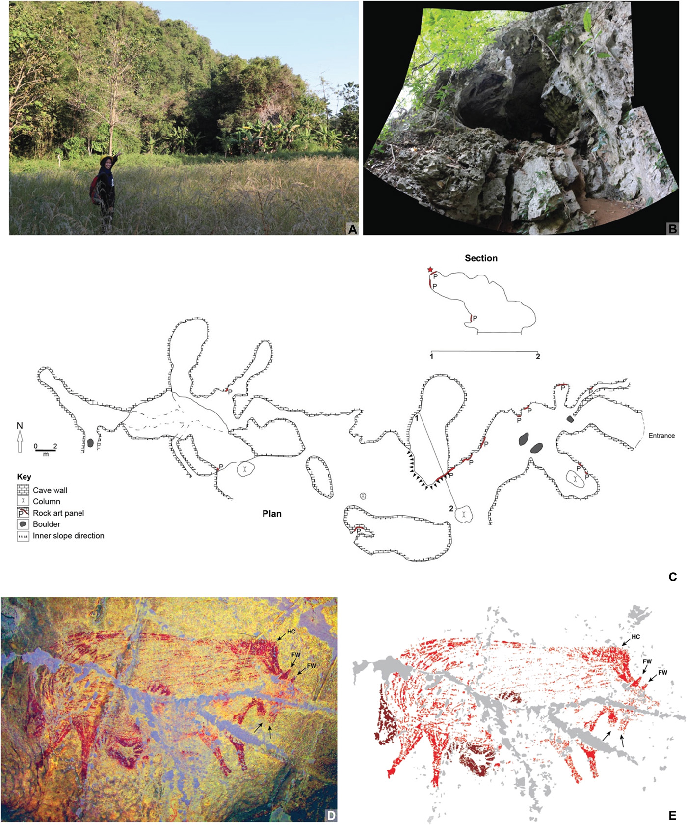 В Індонезії знайшли другий за давністю наскальний малюнок тварини, яку люблять в Україні
