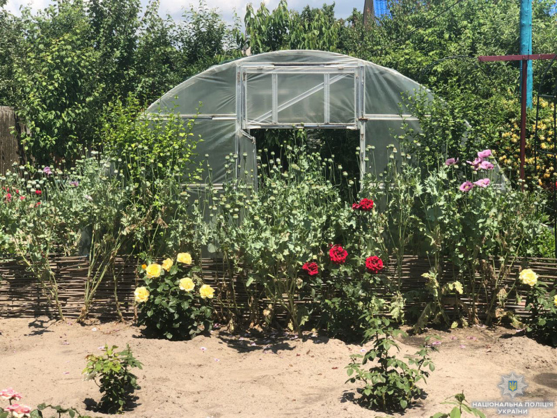 У Херсонській області затримали жінку-наркодилера