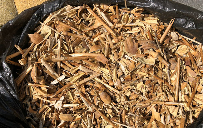 В Донецкой области разоблачили деятельность наркомафии