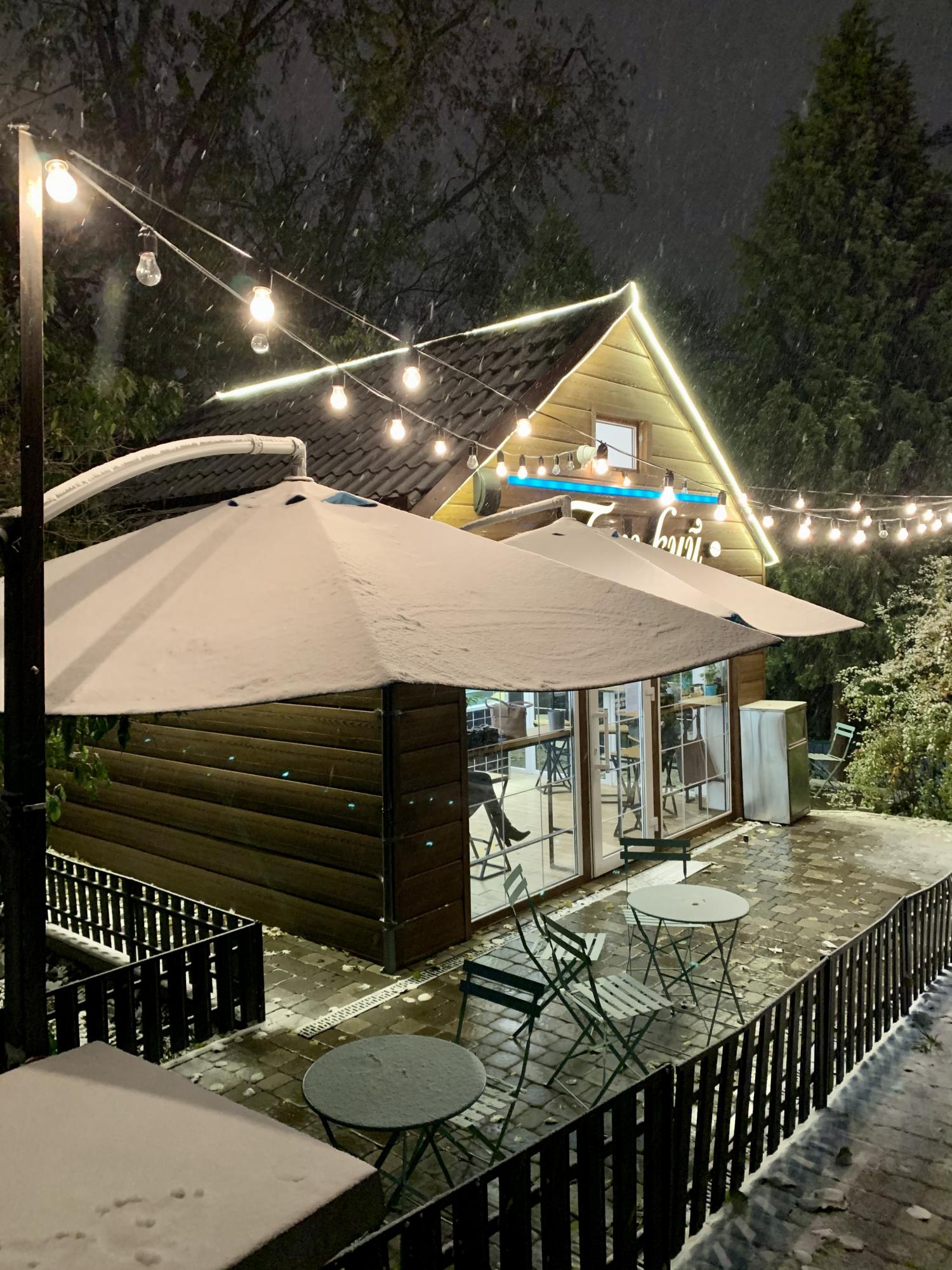 В Киеве выпал первый снег: фото и видео запорошенной столицы