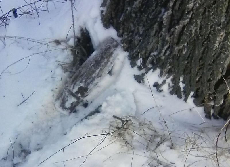 ДСНС з початку року знешкодила 76 тис. вибухонебезпечних предметів