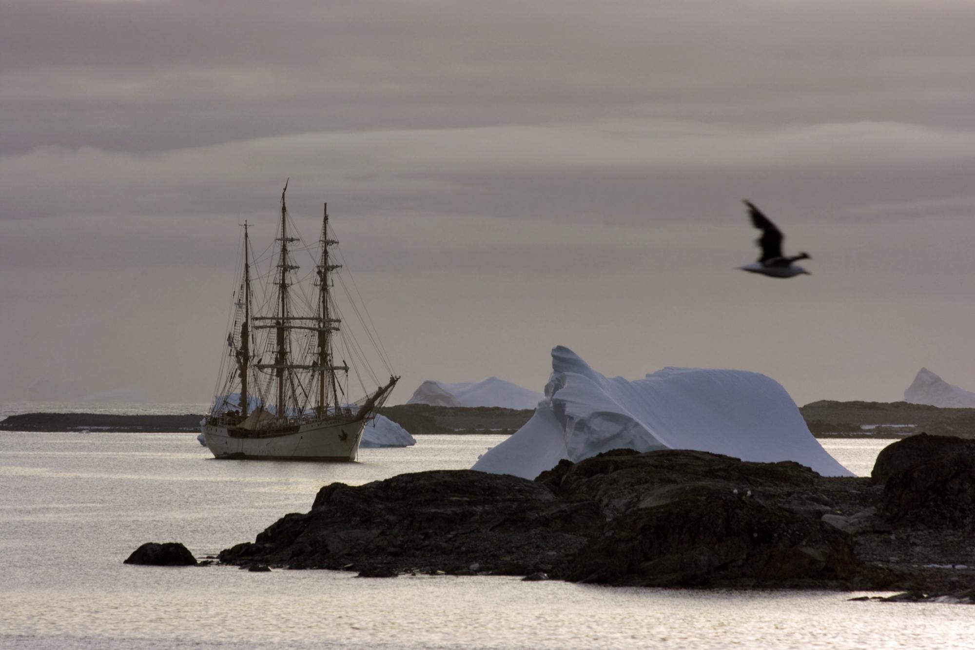 Гордість України: як наші науковці проводять унікальні дослідження в Антарктиді