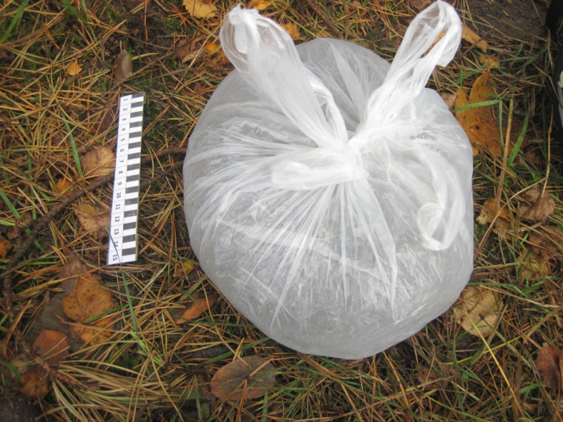 На границе задержан украинец, пытавшийся переправить в РФ килограмм наркотиков