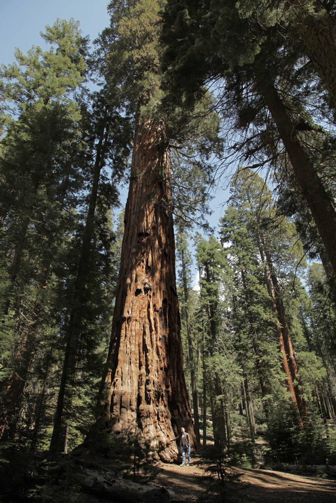 Украинская Америка: известный журналист сравнил жизнь в двух странах