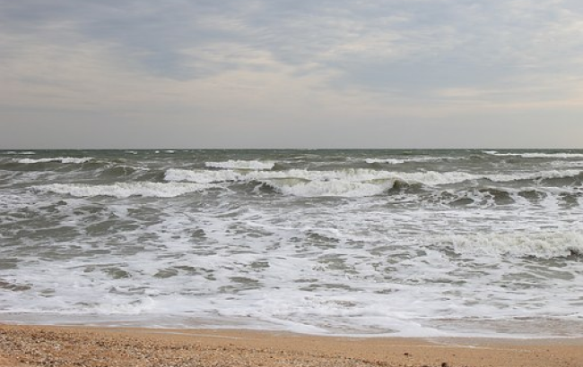 Дивовижне відкриття на дні Азовського моря шокувало дослідників: подробиці