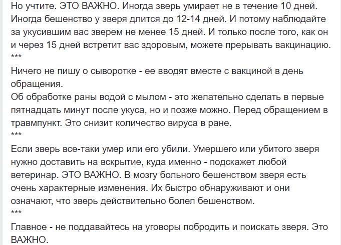 &quot;Мене вкусив звір&quot;: лікар розповіла, як не стати жертвою сказу