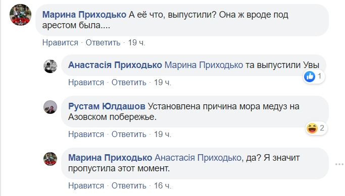 "Багиня" старалась: Надежду Савченко уличили в плагиате