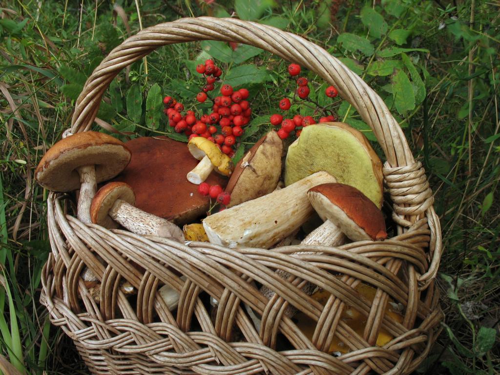 26 серпня: яке свято і що категорично не можна робити в цей день