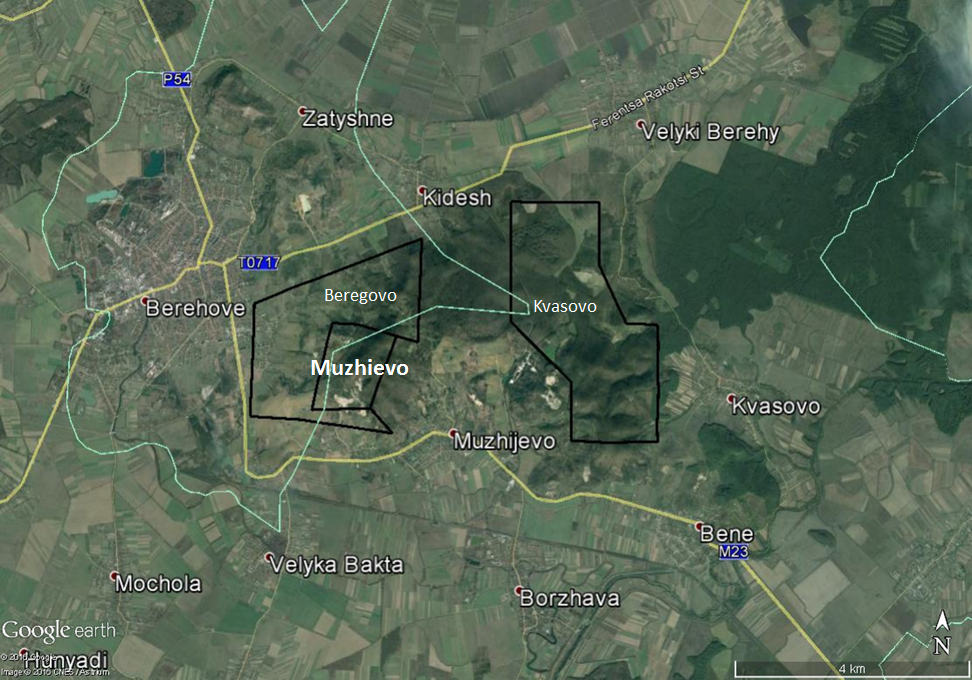 Компанія зі США інвестує 100 млн доларів у видобуток золота в Україні