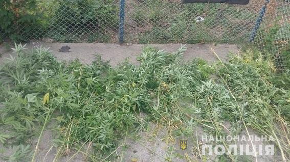 В Нікополі затримали членів банди &quot;Біле братство&quot; та оголосили підозру працівникам поліції