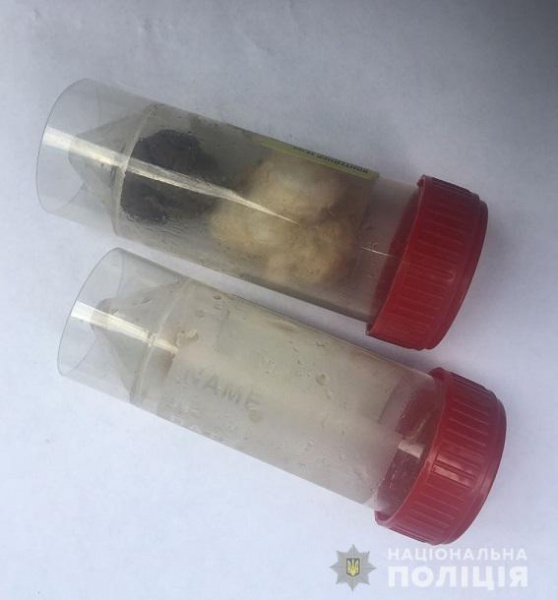 В Нікополі затримали членів банди &quot;Біле братство&quot; та оголосили підозру працівникам поліції