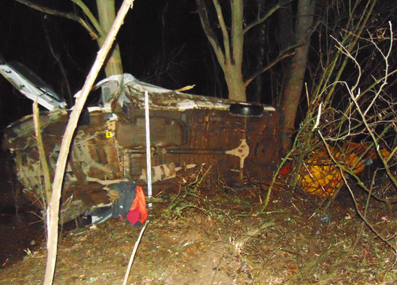 У Житомирській області перекинувся мікроавтобус, є загиблі