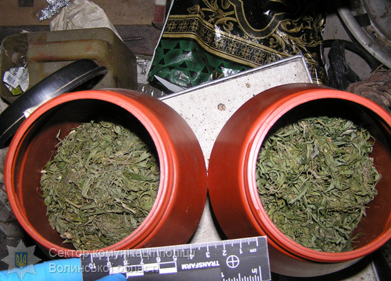 В Волынской области у мужчины изъяли оружие, взрывчатку и наркотики