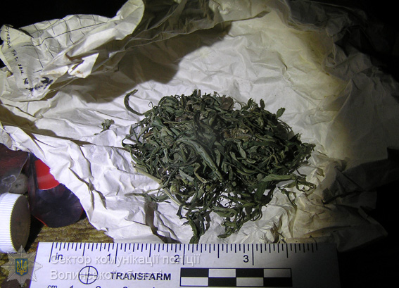 В Волынской области у мужчины изъяли оружие, взрывчатку и наркотики