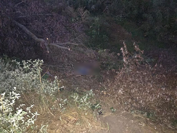 водитель насмерть сбил 3 людей в Полтавскій области и скрылся