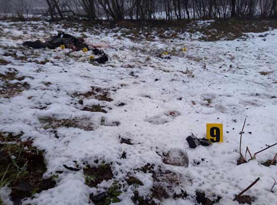 В Винницкой области взорвалась граната, есть погибший