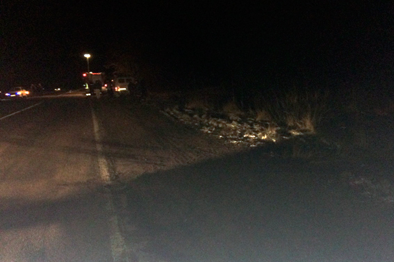 В Житомирской области произошло ДТП со школьным автобусом