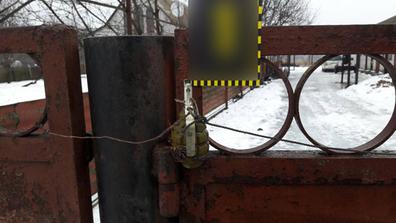 В Полтавской области неизвестные бросили гранату в частный дом