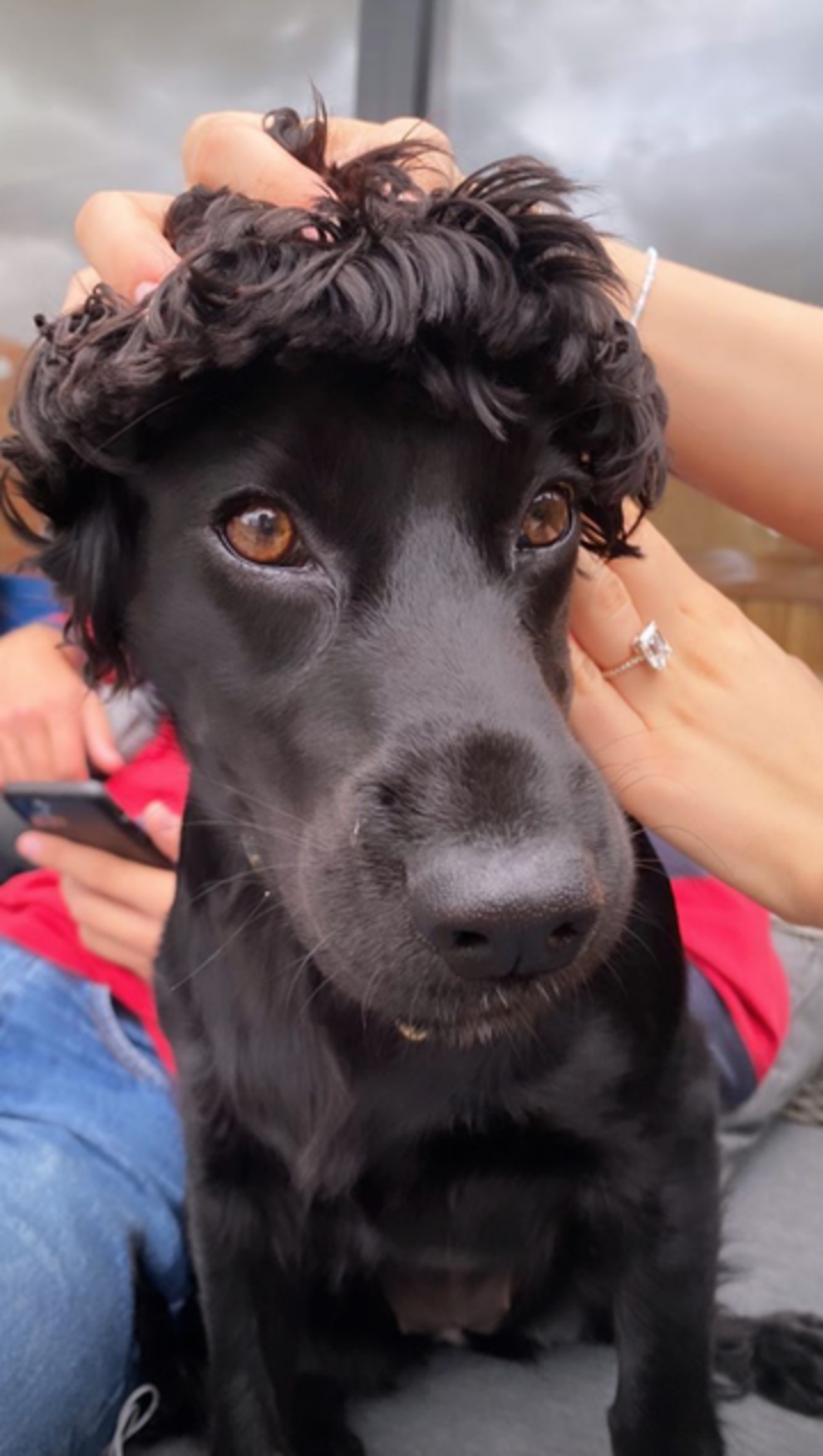 Вот это щедрость: стало известно, что Дэвид и Виктория Бекхэм подарят сыну на свадьбу