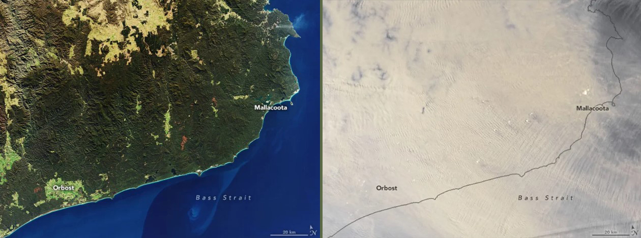 Потужні лісові пожежі в Австралії зняли з космосу: масштаб катастрофи вражає