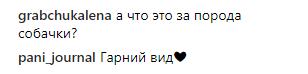 "Сладенький": Джамала растрогала фанов новым фото подрастающего сына