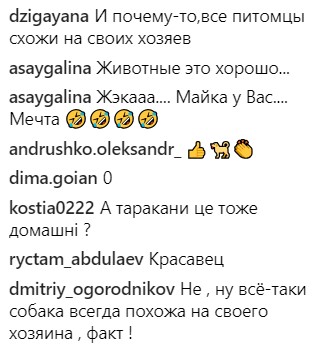 Максимально мило: украинские звезды показали своих питомцев (фото)