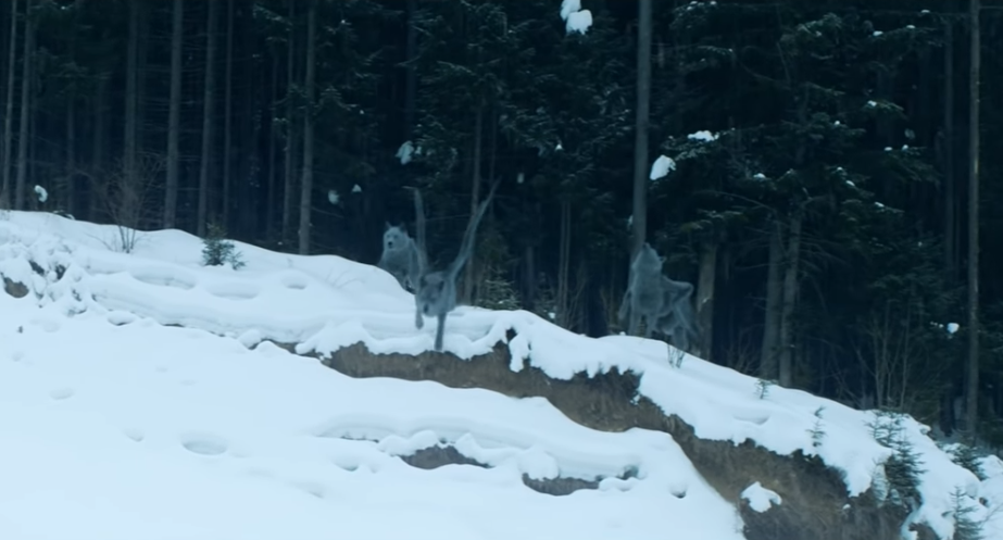 В новом украинском фэнтези снялся американский актер - будущий &quot;Бэтмен&quot;